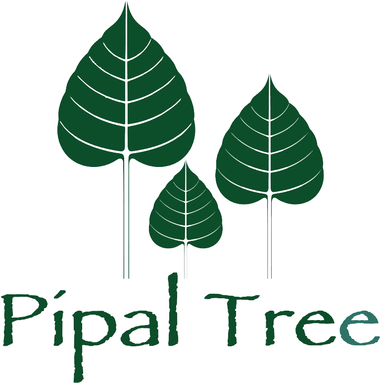 Coming Soon - Illustration (812x791), Png Download