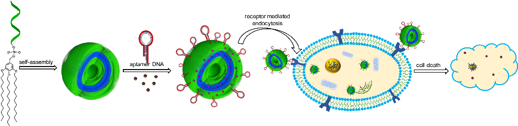 Murali Golla, Sai Praveen Thadi, Devanathan Perumal, - Circle (1024x260), Png Download