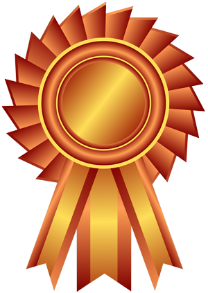 8th Wedding Anniversary Bronze - Bronze Award Icon (300x423), Png Download
