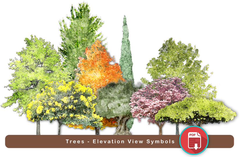 Buy Now For Only $49 - Red Pine (842x549), Png Download