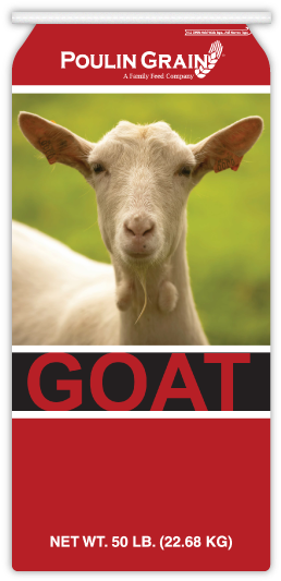 Sweet Goat 18% - Poulin Sweet Goat (278x543), Png Download