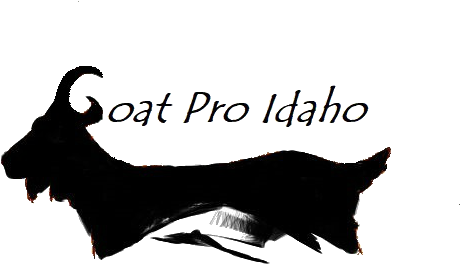 Goat Pro Idaho - Goat (611x344), Png Download