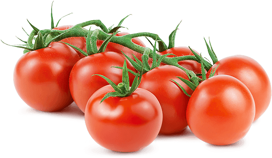 Sapori Loose Header New Rev3 - Tomato (600x380), Png Download