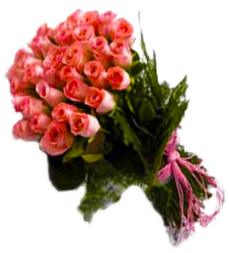 Blushing Pink Roses Bunch - Search Engine (428x428), Png Download