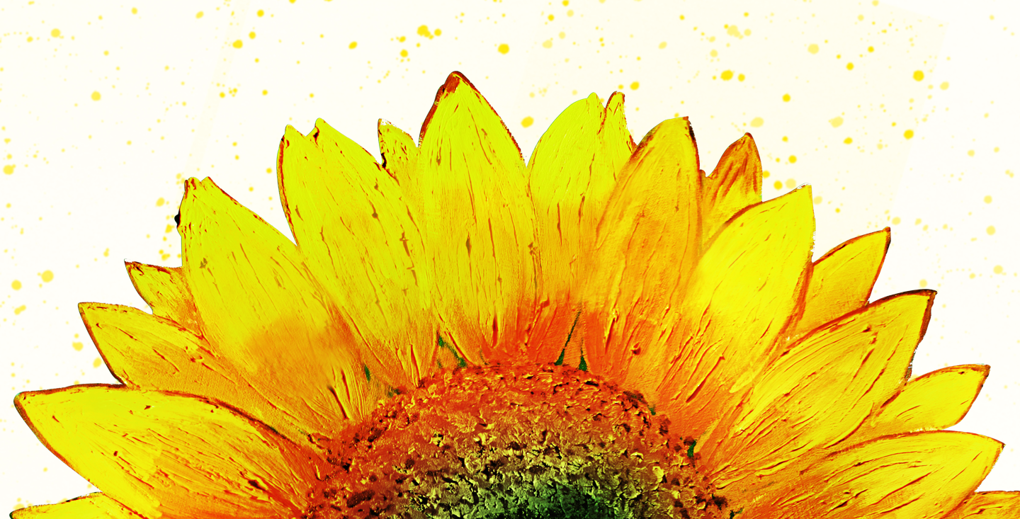 Shop Collection - Stand With The Sun Asics (1440x733), Png Download