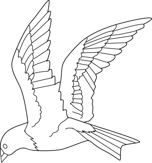 Pin Flying Bird Clipart - Flying Bird Line Art (515x550), Png Download
