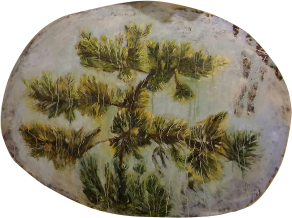 Oil On Wood - Mexican Pinyon (640x466), Png Download
