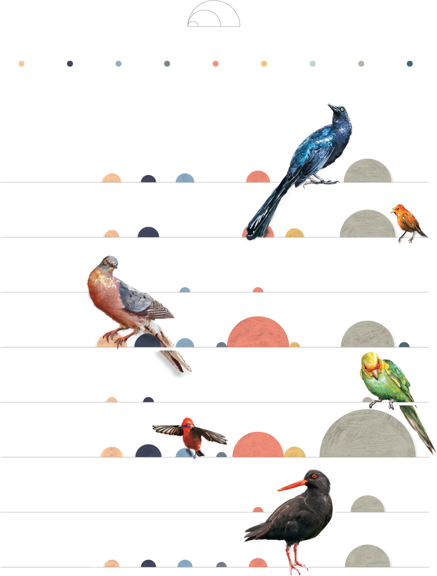 Birds On The Brink - Finch (1460x2580), Png Download