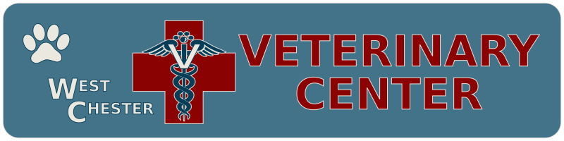 Warmer Weather Usually Means More Time Spent Outside - West Chester Veterinary Center (800x200), Png Download