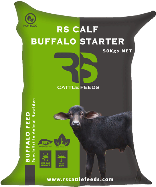 Average Composition - Goat (600x698), Png Download