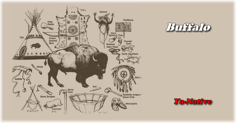 The Buffalo Is A Symbol Of Abundance And Manifestation - Native American Buffalo (940x492), Png Download