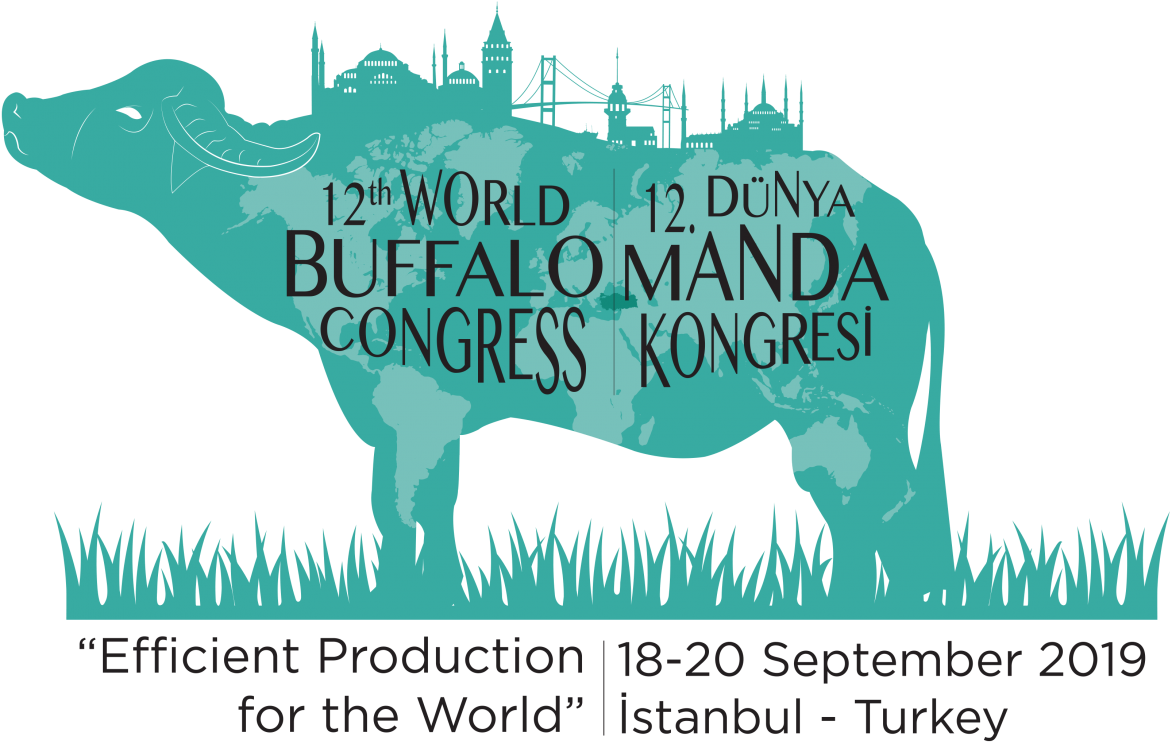 12th World Buffalo Congress, Istanbul, Turkey - Punxsutawney Phil (1280x853), Png Download