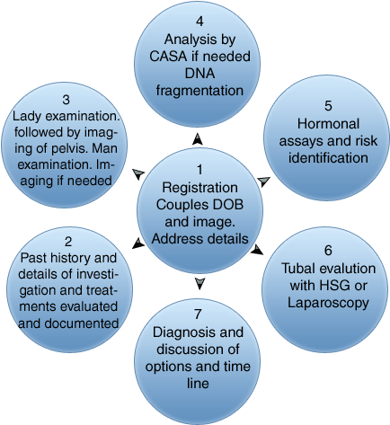 Krishna Ivf Clinic - Focus On Quality (640x480), Png Download