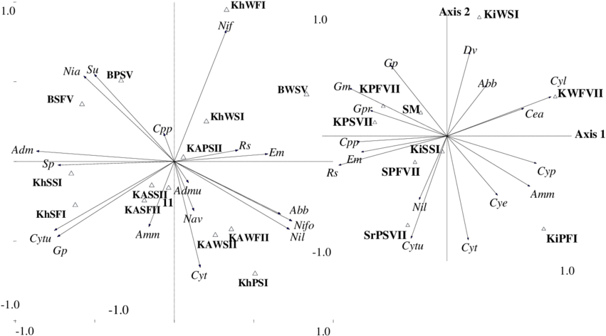 Z Ii Khanda R - Diagram (850x498), Png Download