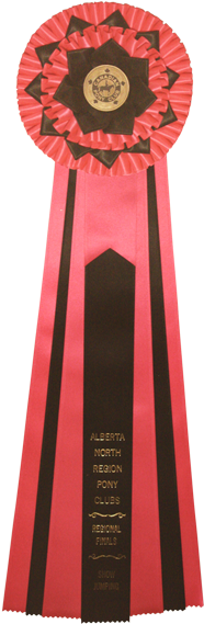 Picture - Award (315x600), Png Download