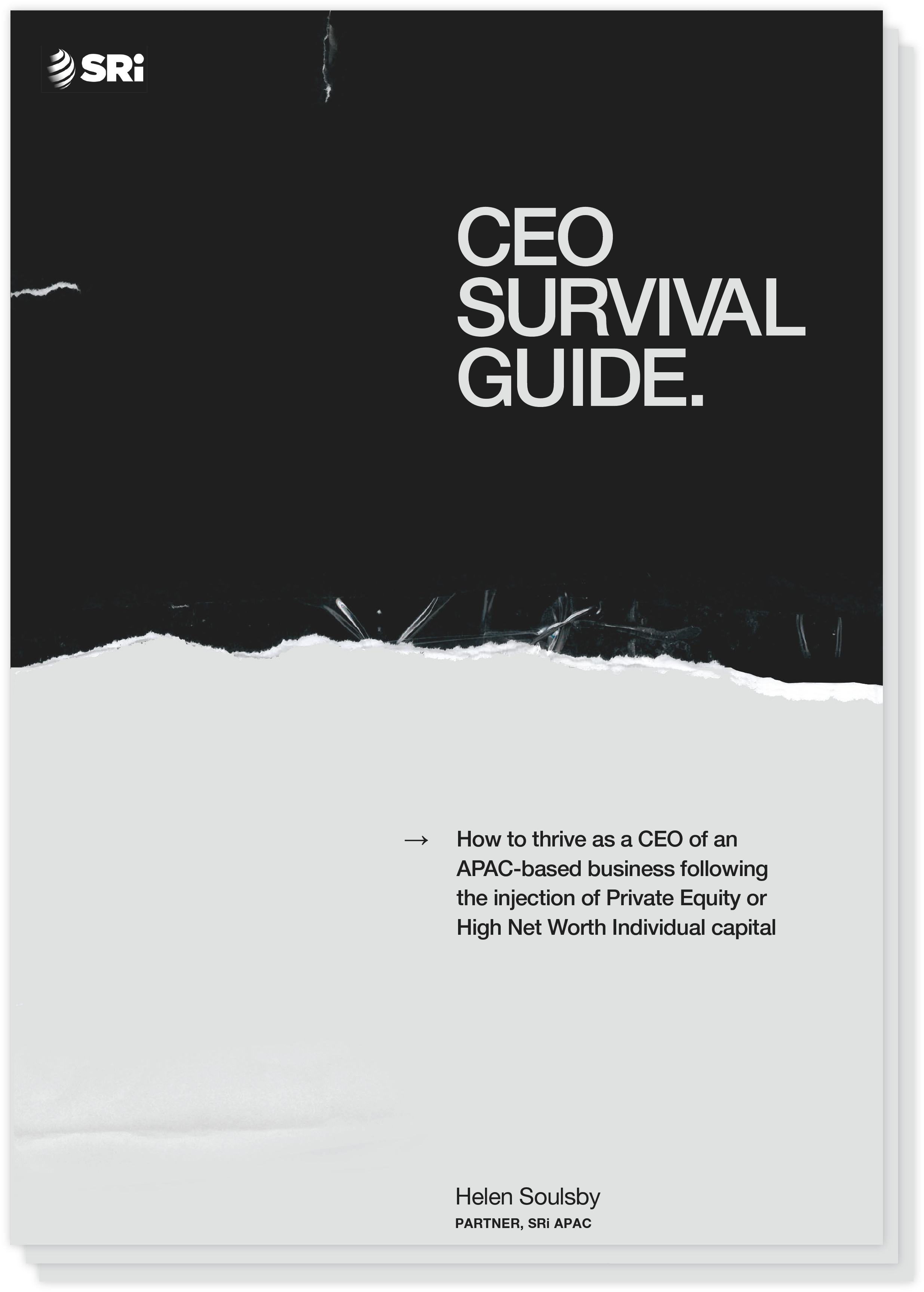 Ceo Survival Guide - Chief Executive (2899x3765), Png Download