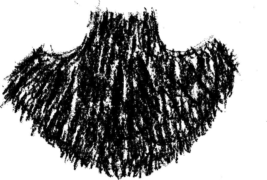 10 Feb 2011 - Illustration (894x602), Png Download