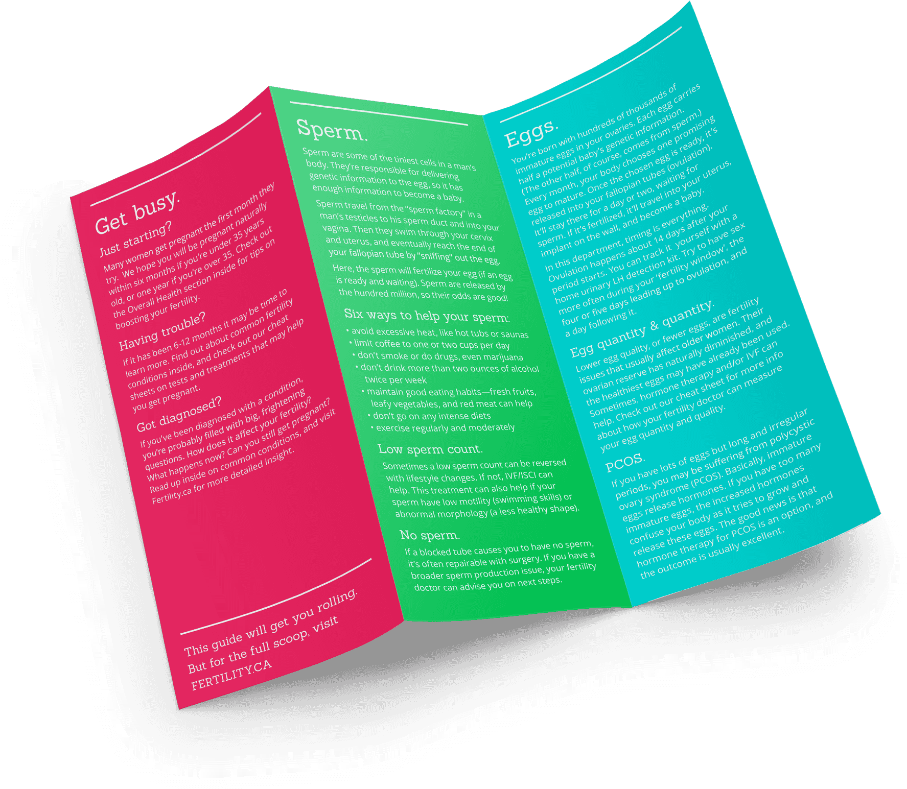 Trifold Presentation Mockup Vol 6 Part - Book (2880x2160), Png Download