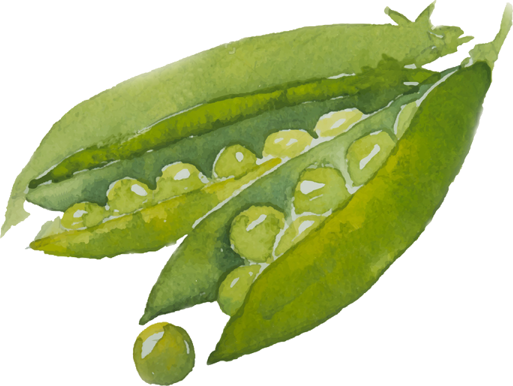 Add Vegan Protein Or Hemb Seeds - Watercolor Painting (1026x773), Png Download