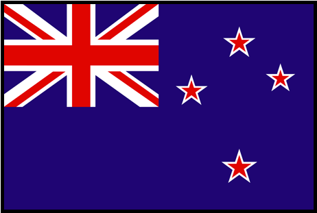 Final , Icc Under-19 World Cup At Kuala Lumpur, Mar - New Zealand Flag Small Icon (500x500), Png Download