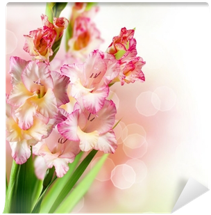Gladiolus Autumn Flower Border Design Wall Mural • - 3d Pink Daylily And Butterfly Printed Cotton 4-piece (400x400), Png Download