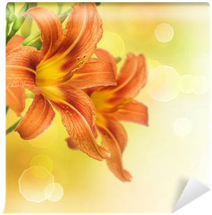 Yellow Lily Flower Border Design Wall Mural • Pixers® - Beautiful Orange Flowers Hd (400x400), Png Download