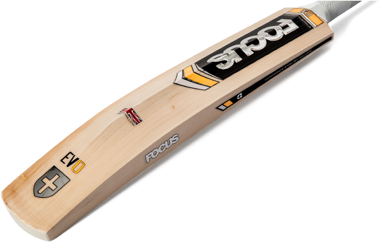 Focus Cricket, Changing The Game - Australian Cricket Bat Brands (584x354), Png Download
