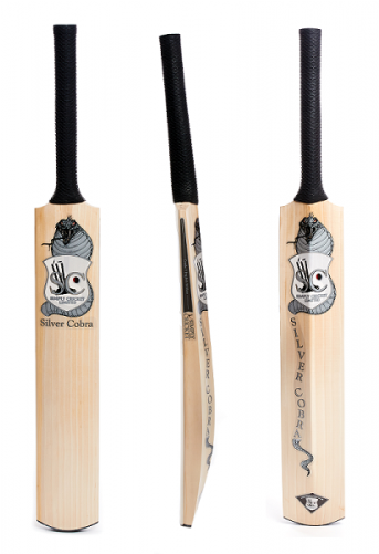 Cricket (500x500), Png Download