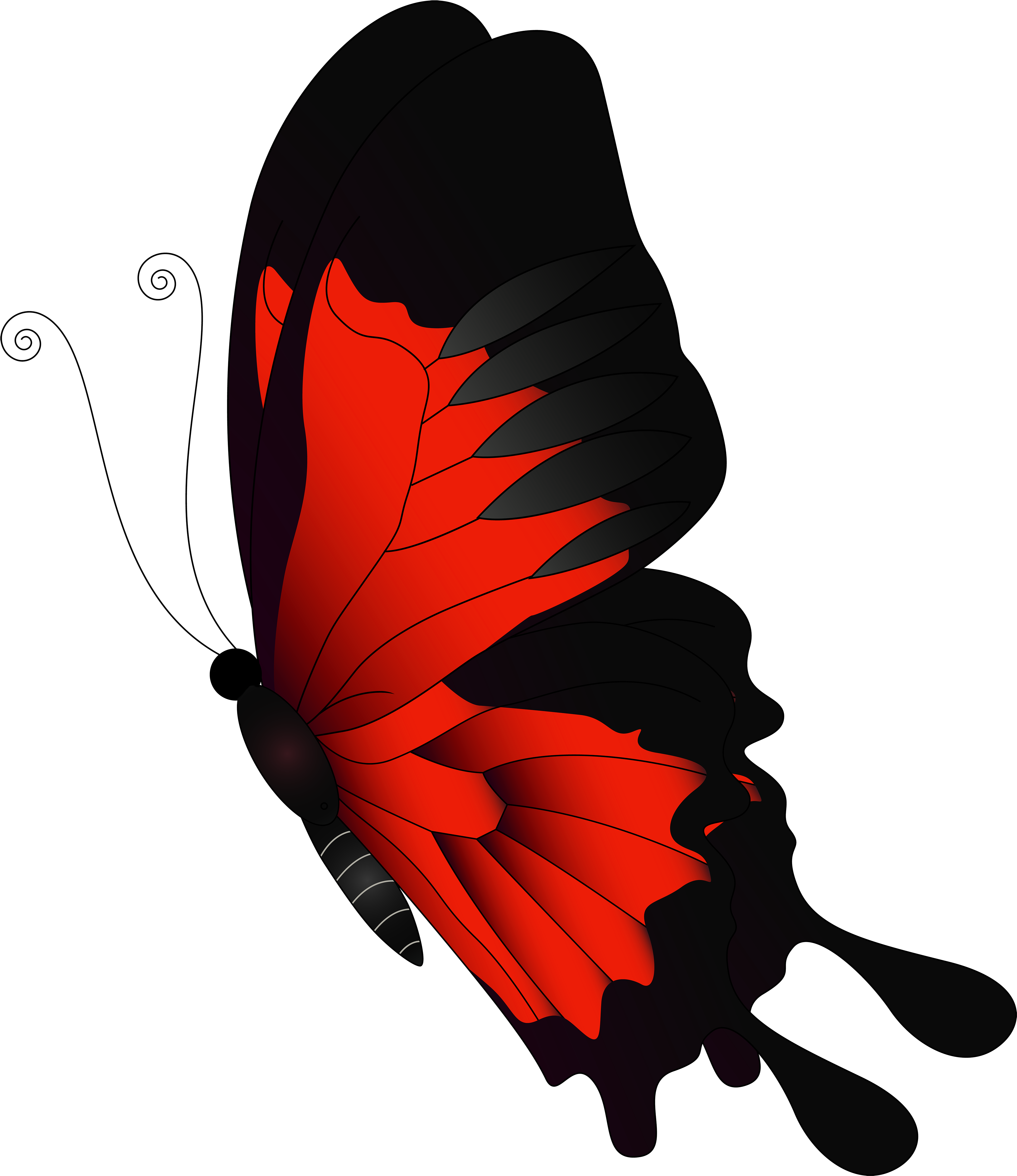 Flying Clip Art Gallery - Flying Butterfly Clipart Png (4323x5000), Png Download