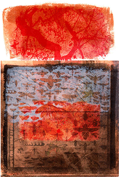 Klikk På Motivet For Stort Format - Still Life (350x350), Png Download