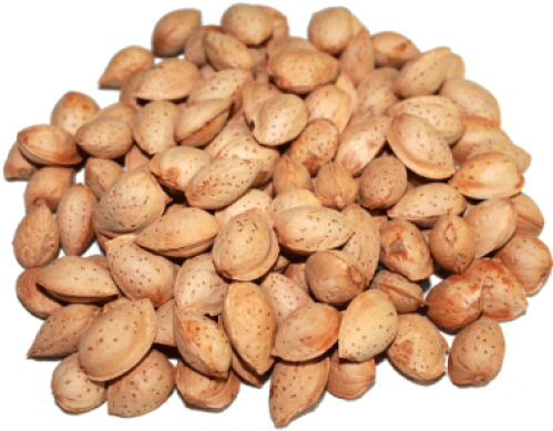Pista Badam Price (500x500), Png Download