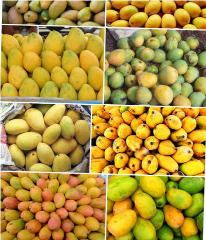 Aam - - Almond (640x480), Png Download