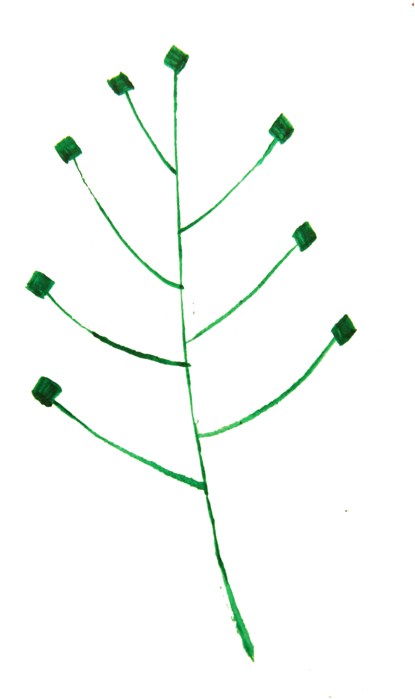 Leaf Computer Icons Calligraphy Tree Plant Stem - Christmas Tree (750x750), Png Download