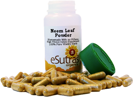 Various Parts Of The Neem Tree Have Been Used As Traditional - Single Cell Protein Products (500x500), Png Download