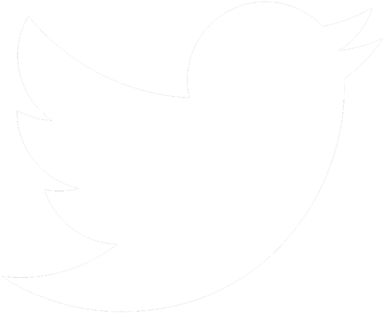 Thumb Image - Twitter Vector Logo White (768x768), Png Download