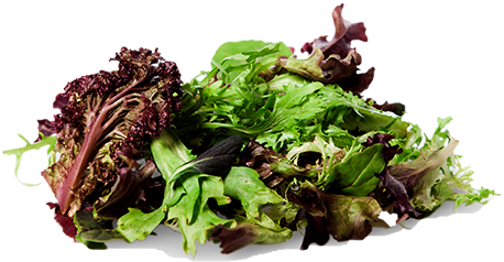 Fruits, Vegetables, Herbs And Spices - Vegetable (500x340), Png Download