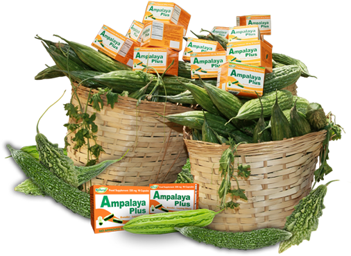 Ampalaya With Plus Basket - Ampalaya Basket (516x406), Png Download