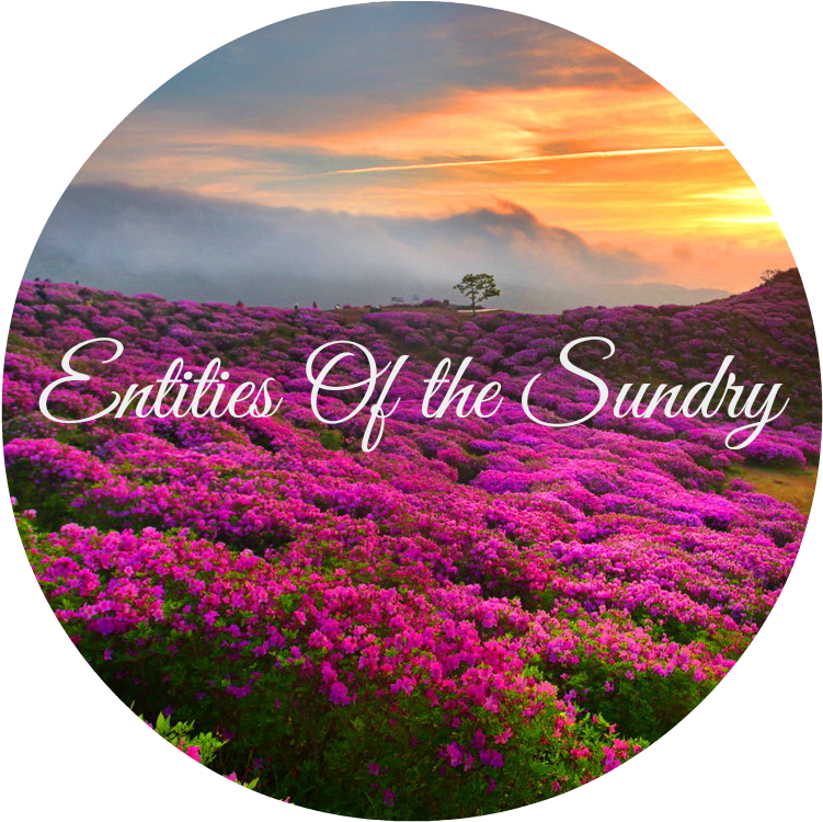 Fiery Sunset Flowers Mountain Lovely Meadow Hd Wal - Sunset (1168x769), Png Download