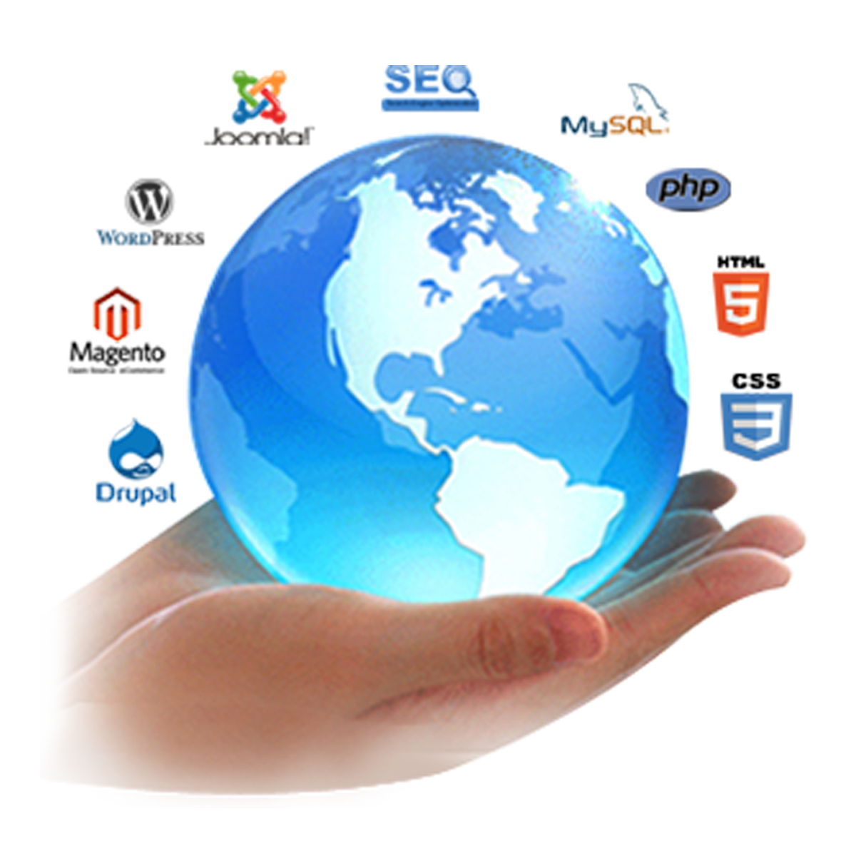 We Create Websites Using - General Knowledge (1200x1200), Png Download