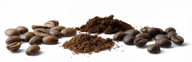 Today We Can Offer Our Customers Over 120 Different - Grains De Café Png (740x255), Png Download