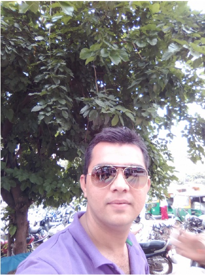 Himanshu Jayendrabhai Gajjar - Tree (400x660), Png Download