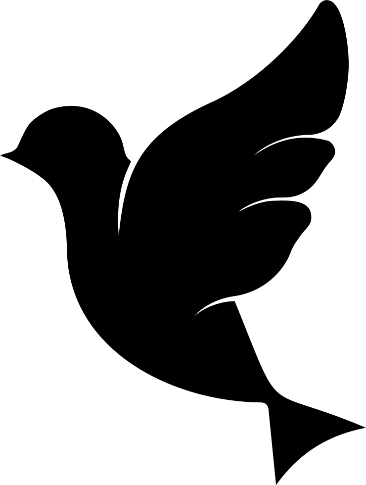 City Pigeon Logo - Paloma Blanco Y Negroç (740x980), Png Download