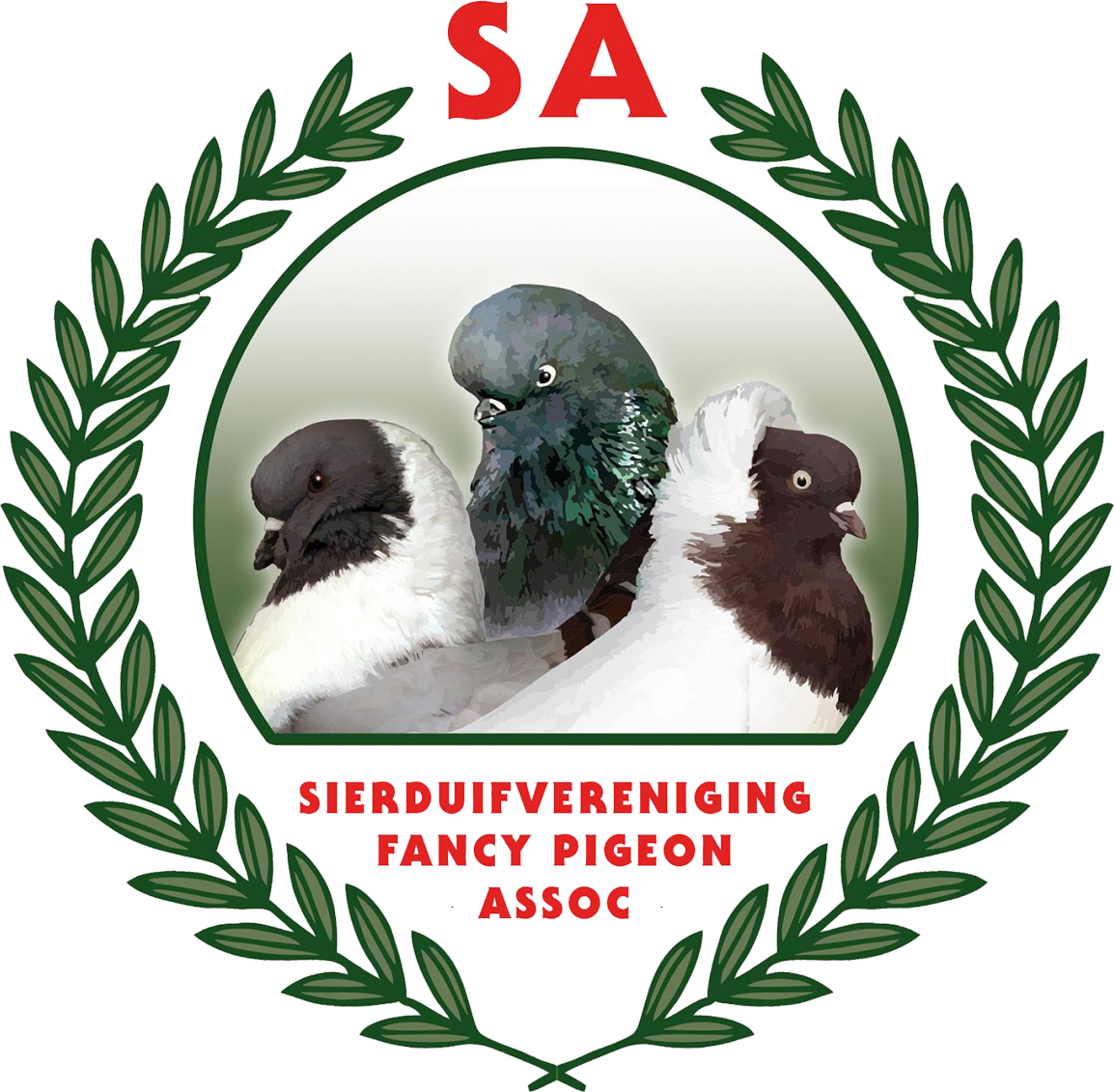 Welcome To The South African Fancy Pigeon Association - Shanghai (1154x1131), Png Download