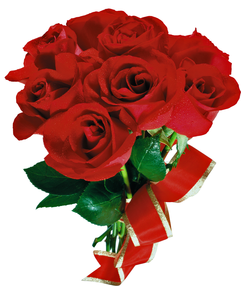 Rose Png Flower - Natural Rose Flower Png (800x948), Png Download