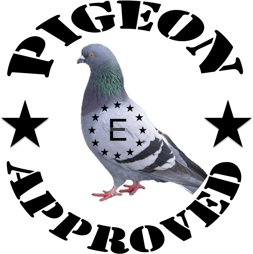Pigeon Approved - Pigeon God (879x876), Png Download
