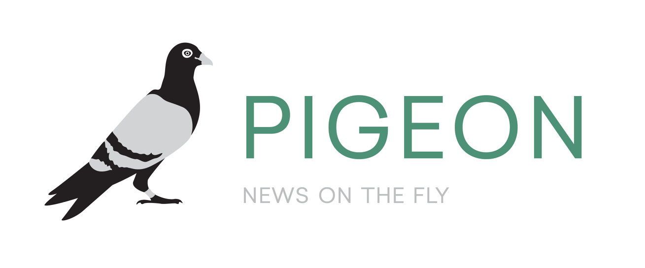 App Design - - Eurasian Magpie (1600x655), Png Download