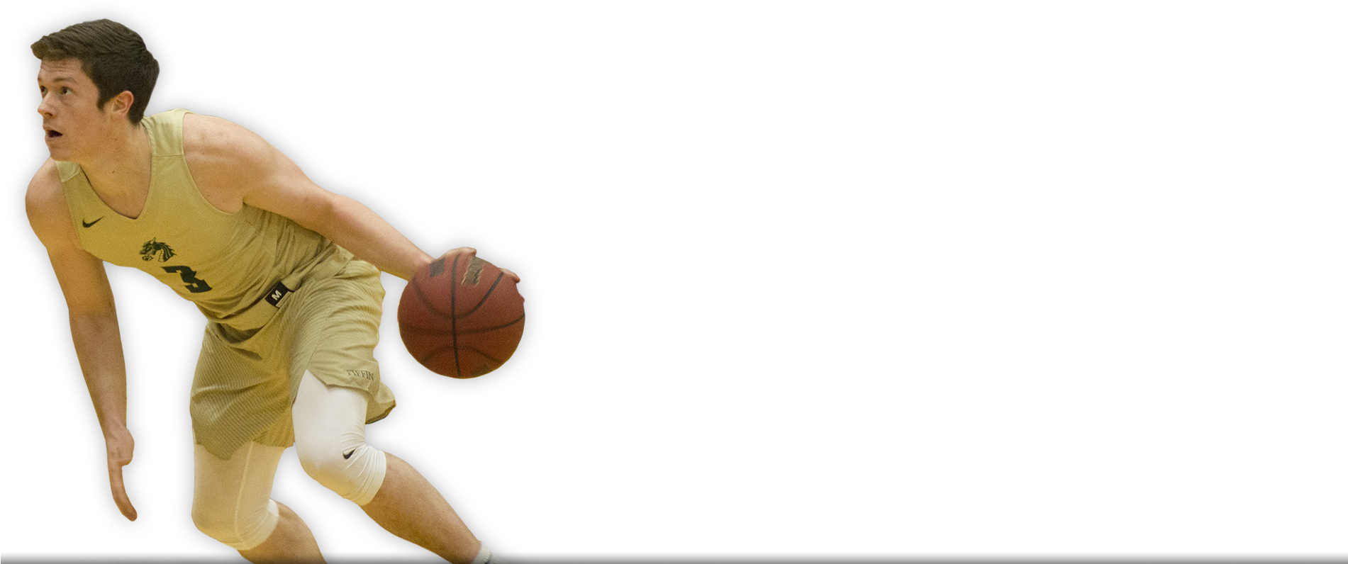 Tiffin Men's Basketball Camps (1900x850), Png Download