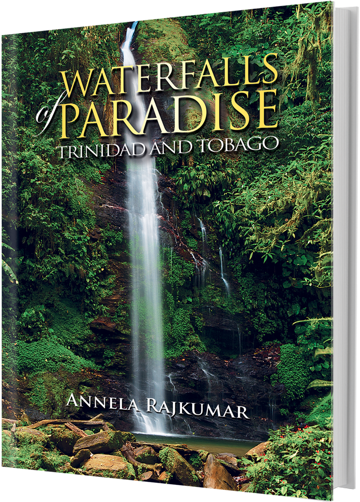 Waterfalls Of Paradise - Paradise (822x1062), Png Download