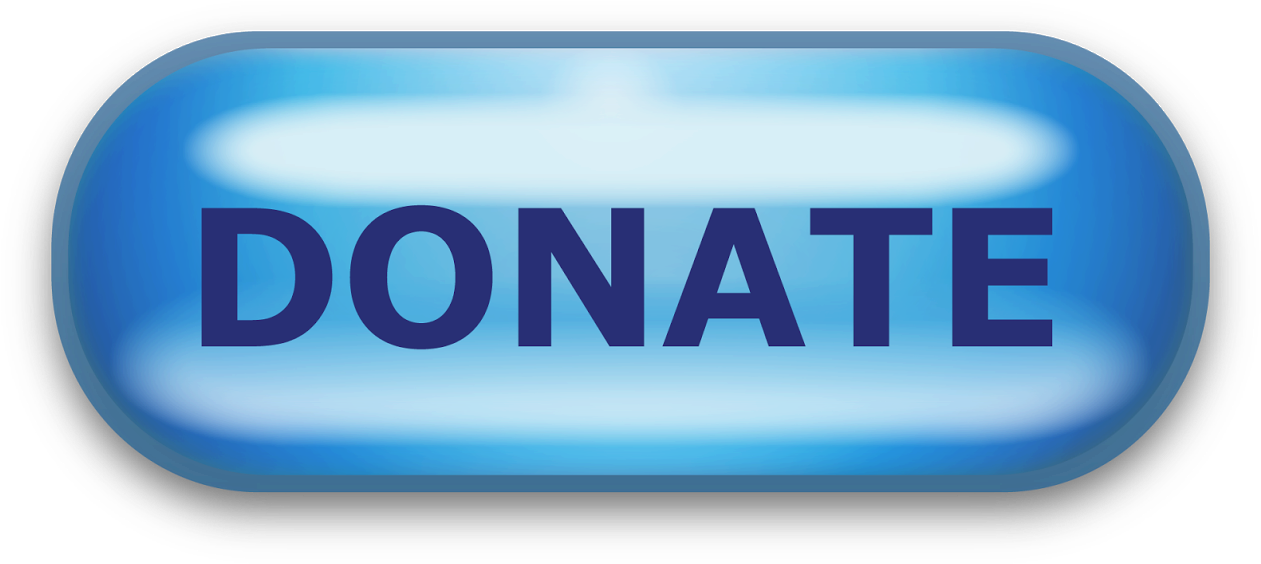 “the Mystic Is Also A Realist, Accepting The Invitation - Blue Donate Button (1276x578), Png Download