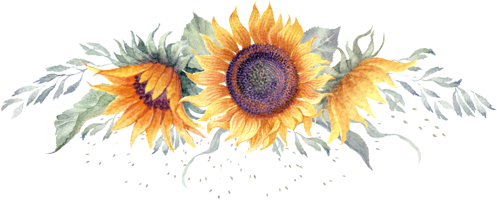 Style Luffy & Law - Style de One Piece por Naokko - Spirit Personalizar